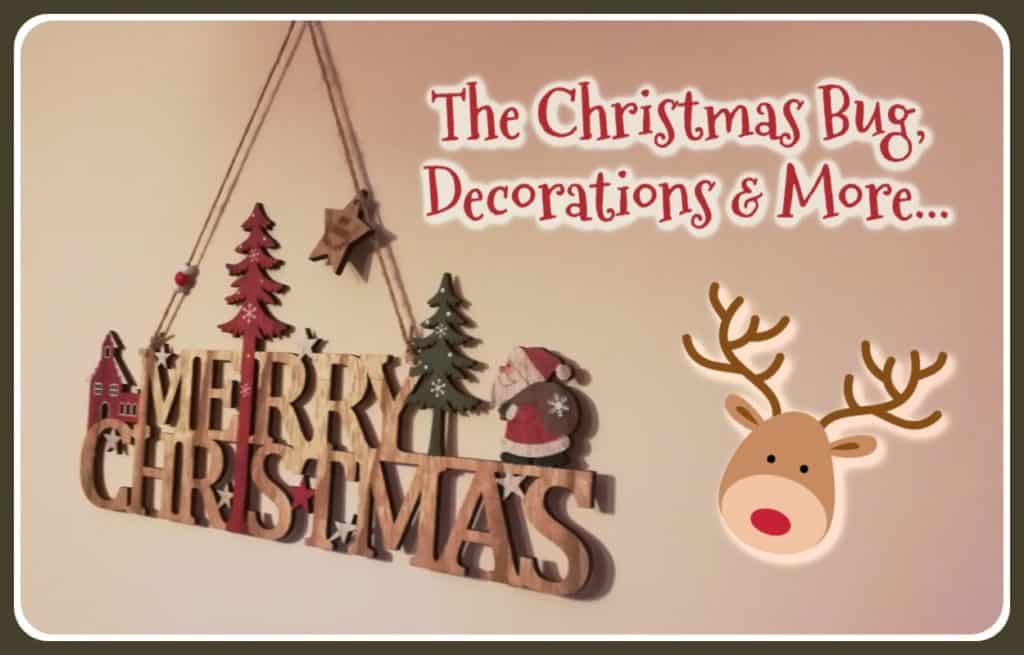 The Christmas Bug with Christmas Decorations